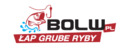 Logo Bolw