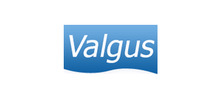 Logo Valgus