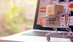 Rozwój sklepów internetowych w Polsce - fenomen e-commerce