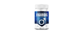 Logo Vigordic