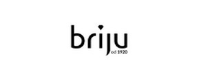 Logo briju