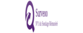 Logo surveoo